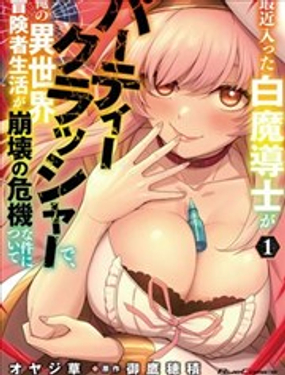 
              最近加入的白魔导士是队伍破坏者，给我的异世界冒险者生活带来了崩坏危机
            