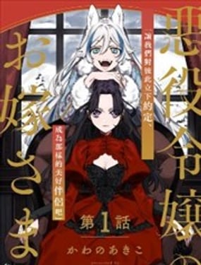 
              恶役千金的新娘
            